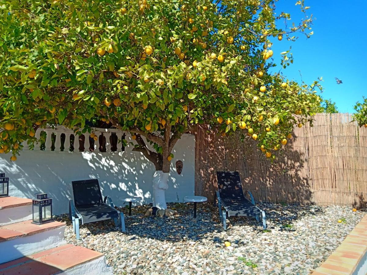 Finca Rayo Del Sol Alhaurin el Grande Bagian luar foto