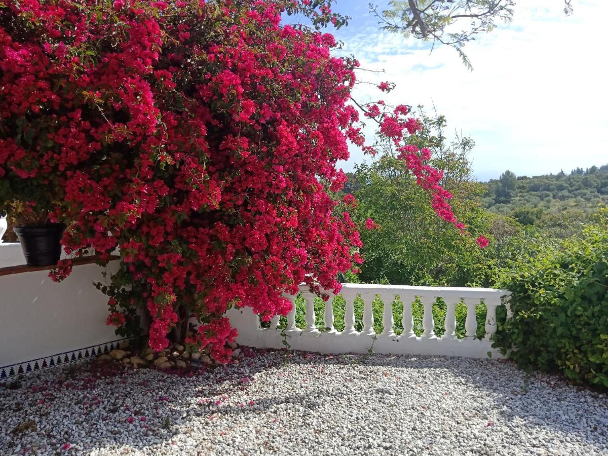 Finca Rayo Del Sol Alhaurin el Grande Bagian luar foto