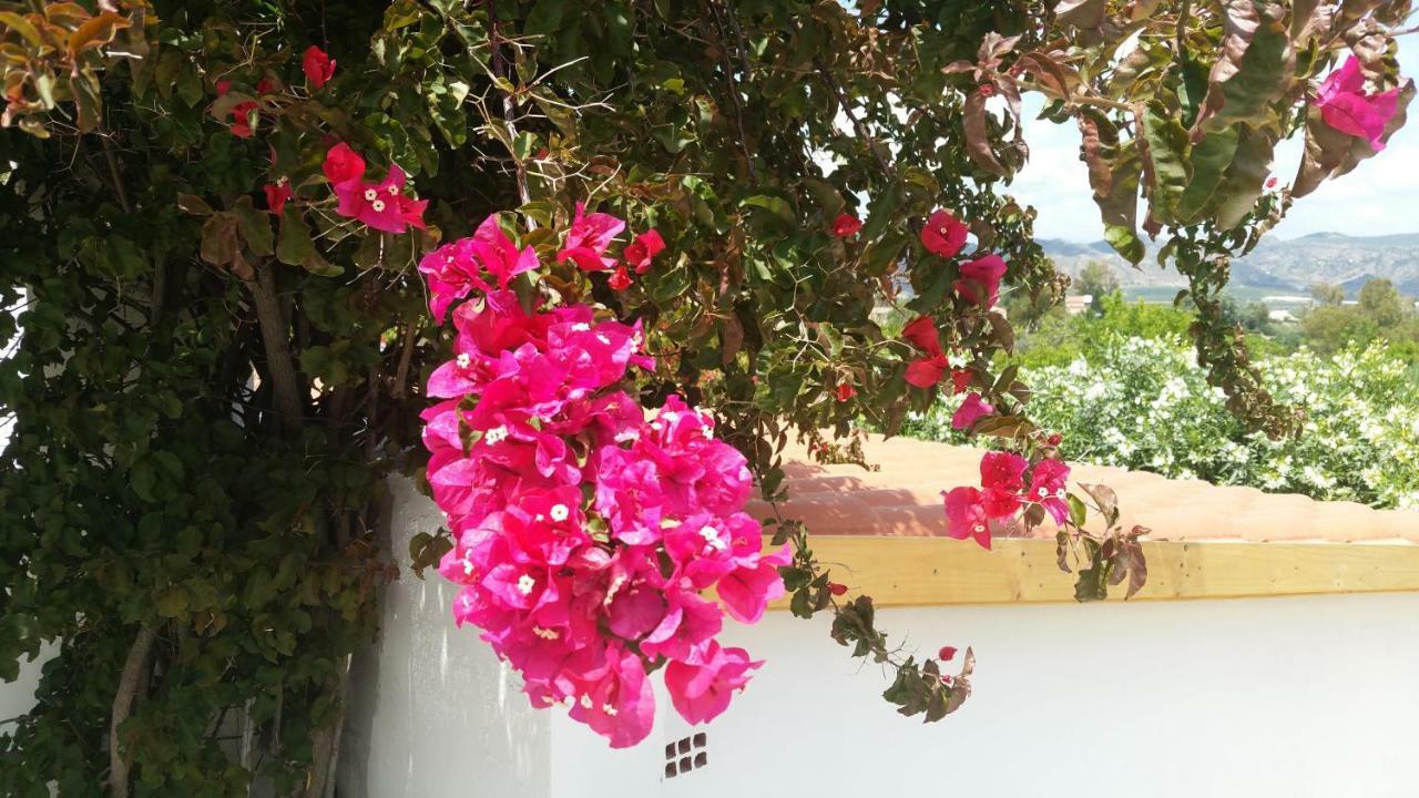 Finca Rayo Del Sol Alhaurin el Grande Bagian luar foto